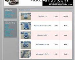 Auto Amati