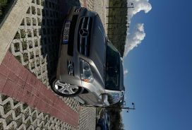 Mercedes-Benz, GL-Class, 2009, Nafte